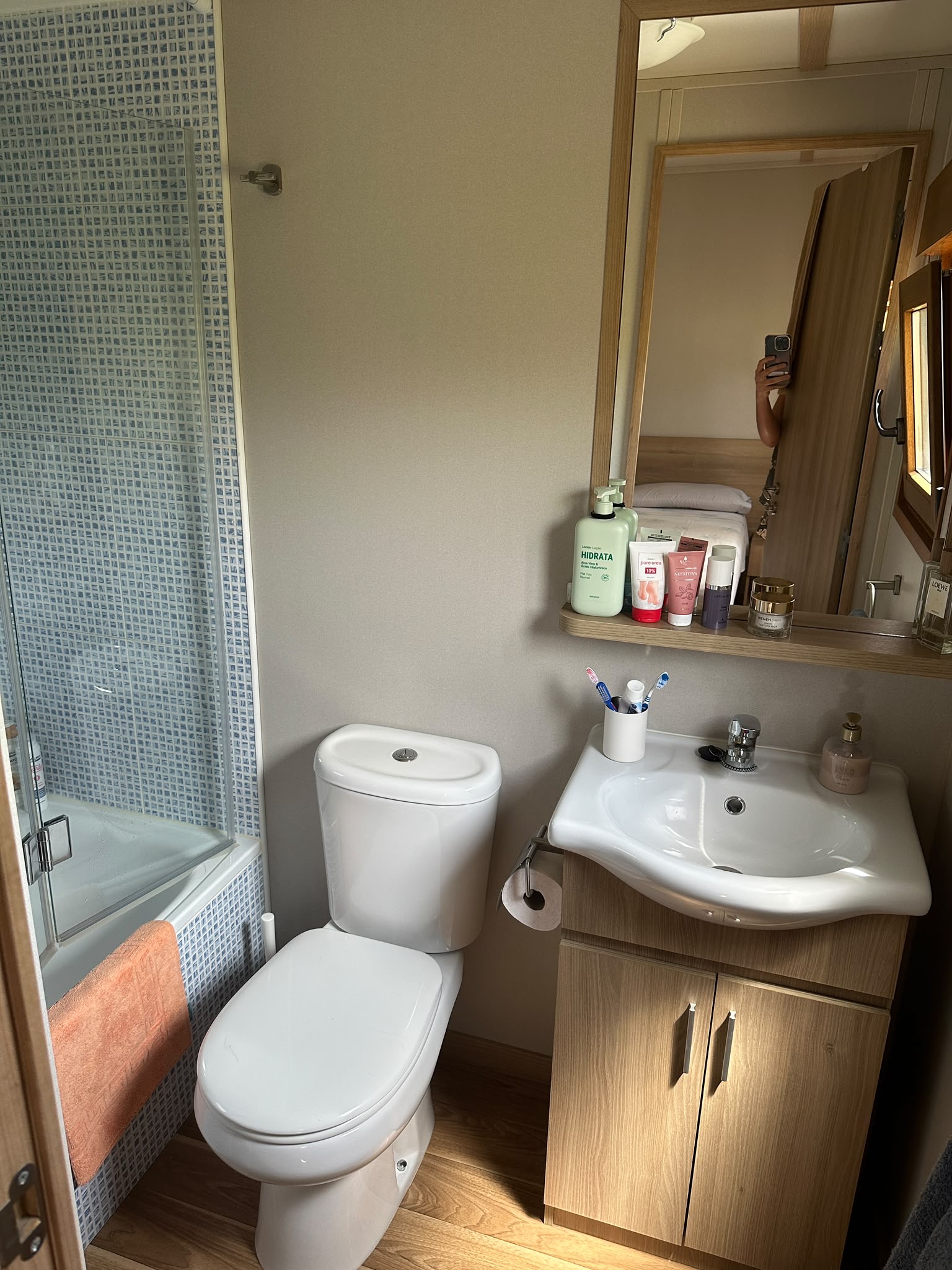 Baño detalle 1
